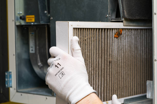 Air Duct Mold Removal in IL